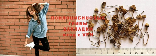 ALPHA-PVP Вязьма
